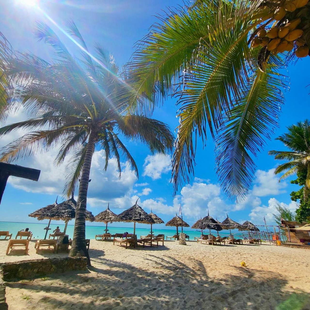 Mambo Ocean Resort プワニ・チャンガーニ エクステリア 写真
